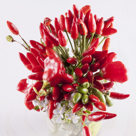 Red peppers in a bunch, white background, square imageの写真素材