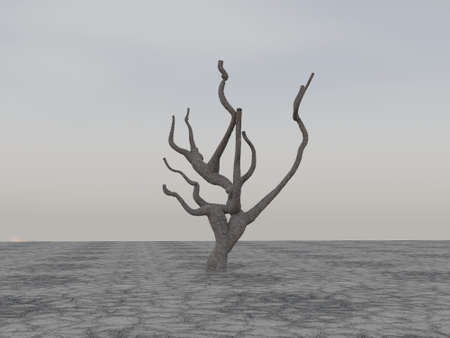 Solitary dead tree in desert, 3d renderingの写真素材