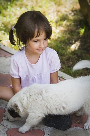Little girl with puppyの写真素材