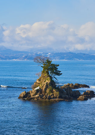 Tree on a rock in the middle of the seaの写真素材