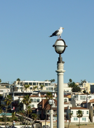 Manhattan Beach on a sunny day in Los Angeles, California,の写真素材