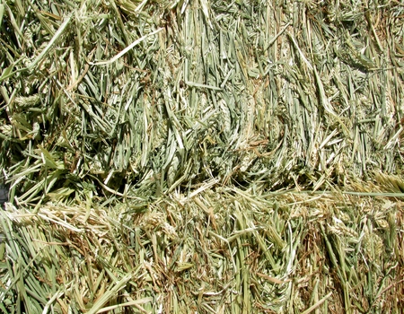 Haystacks straw close upの写真素材