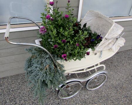 Vintage stroller reused as plant pots holder