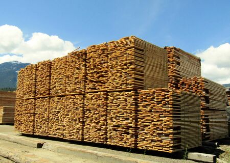 Stacks of cedar boards at saw mill