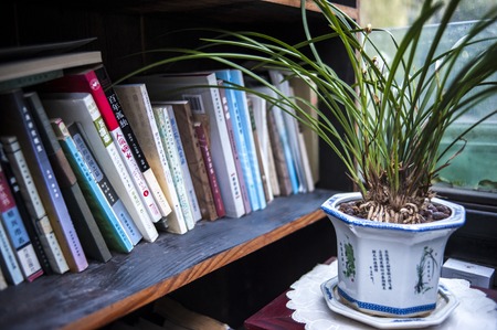 Bookcase and orchidsのeditorial素材