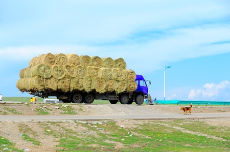 Transport on the prairie grass truckのeditorial素材