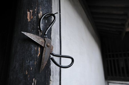 scissorsのeditorial素材