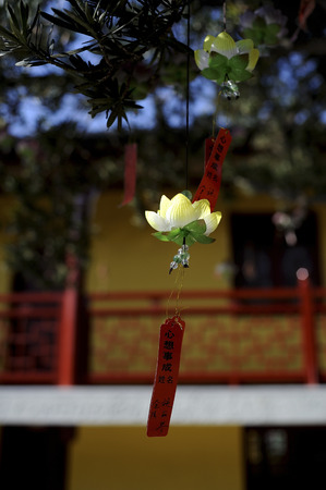 lantern shaped like a lotus flower
