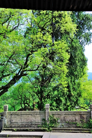 The stone railing outside with treesのeditorial素材