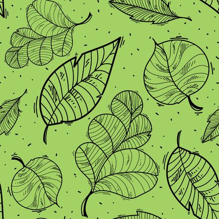 Leafletsのイラスト素材