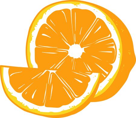 Orange, sliced, on a white background in vector illustrationのイラスト素材