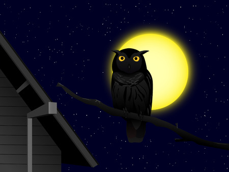 cartoon owl on the branchのイラスト素材