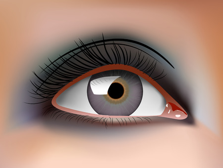 realistic woman eyeのイラスト素材