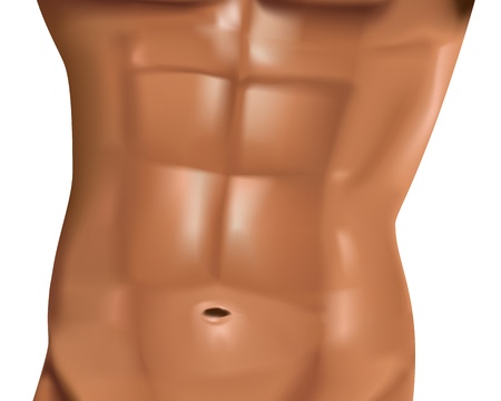 realistic male abdominal muscles on white backgroundのイラスト素材