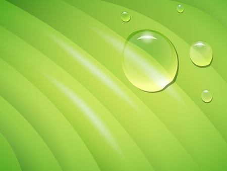 leaf closeup with rain drops, transparency and gradient mesh usedのイラスト素材