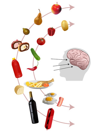 Vector Neurogastronomy Concept on White Background, Eps10, Gradient Mesh and Transparency Usedのイラスト素材