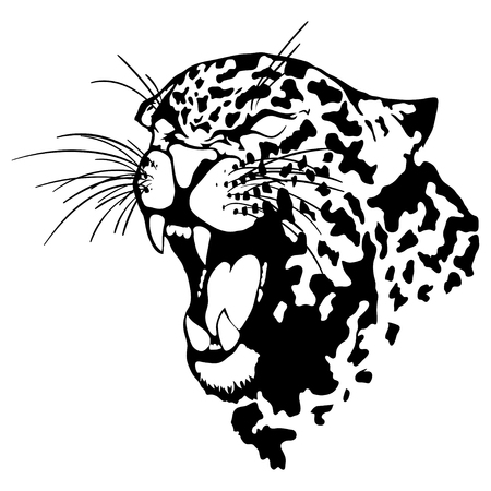 Isolated illustration of a leopard headのイラスト素材