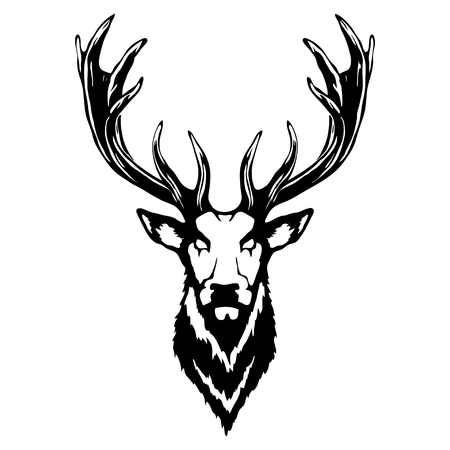 Isolated illustration of a deer headのイラスト素材