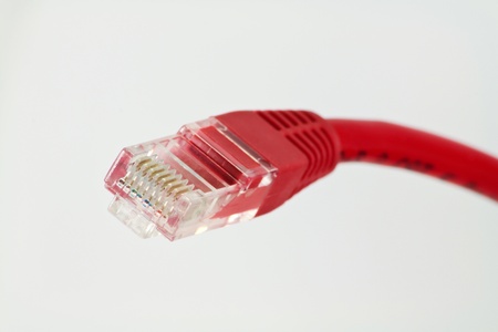 Network cable with connector on white backgroundの写真素材