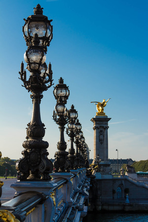 The bridge of Alexandre III is the most popular historical and cultural monument in Paris.の写真素材