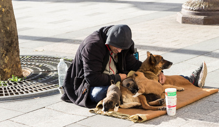 Paris; france-November 22, 2015: The unidentified homeless with dogs on Champs Elysees avenue in Paris, France.のeditorial素材