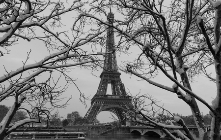 The black and white Eiffel tower with bare trees in winter, Paris, France.の写真素材