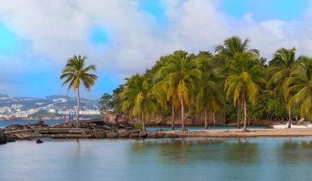 The Caribbean beach , Martinique island.の写真素材
