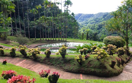 The garden of Balata, Martinique island, French West Indies.の写真素材