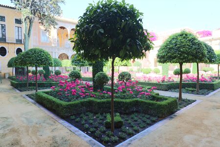 The garden of the Casa de Pilatos in Seville, Andalusia Spain.のeditorial素材