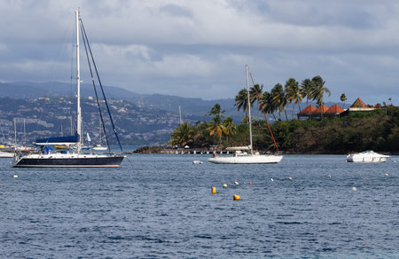 The catamaran and sailboats anchored in waters of caribbean beach.の写真素材