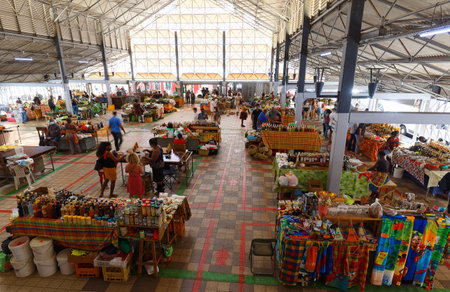 The picturesque covered market of Fort de France located in Fort de France centre, Martinique island, Lesser Antilles.のeditorial素材