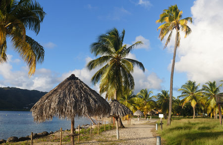 The picturesque Caribbean beach , Martinique island, French West Indies.の写真素材