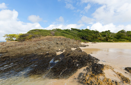 The picturesque Caribbean beach , Martinique island, French West Indies.の写真素材