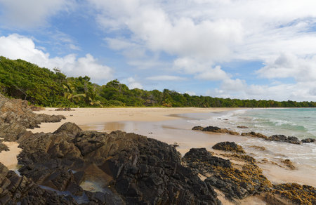 The picturesque Caribbean beach , Martinique island, French West Indies.の写真素材