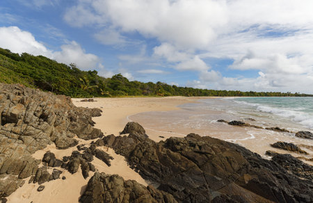 The picturesque Caribbean beach , Martinique island, French West Indies.の写真素材