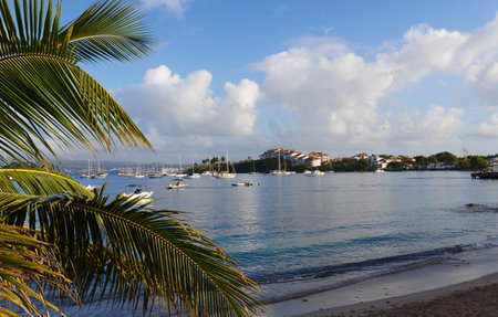 Beautiful bay and the sailboat harbour, the picturesque marina in Martiniqueの写真素材