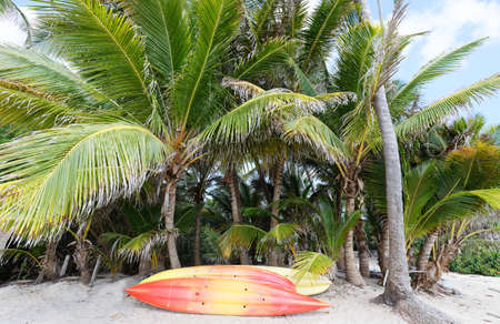 The picturesque Caribbean beach , Martinique island, French West Indies.の写真素材