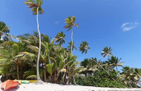 The picturesque Caribbean beach , Martinique island, French West Indies.の写真素材