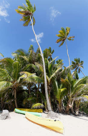 The picturesque Caribbean beach , Martinique island, French West Indies.の写真素材