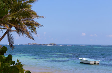 The picturesque Caribbean beach , Martinique island, French West Indies.の写真素材
