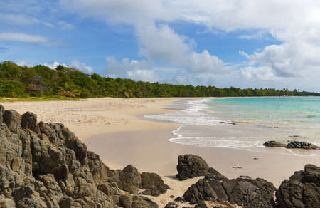 The picturesque Caribbean beach , Martinique island, French West Indies.の写真素材