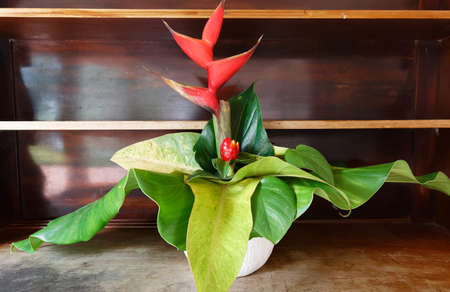 The colorful tropical flowers bouquet arrangement on wooden background.の写真素材