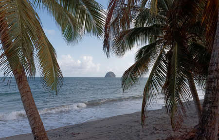 The picturesque Caribbean beach , Martinique island, French West Indies.の写真素材