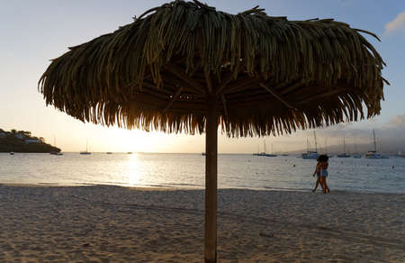 The picturesque Caribbean beach , Martinique island, French West Indies.の写真素材