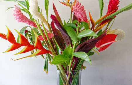 The colorful tropical flowers bouquet arrangement on white background.の写真素材