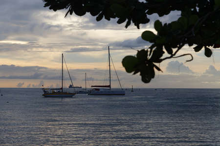 The catamaran and sailboats anchored in waters of caribbean beach.の写真素材