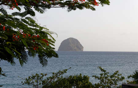 The Flamboyant tree in the foreground and Diamond rock and blue sea in the background . Martinique island.の写真素材