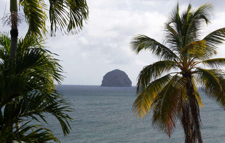The palm trees in the foreground and Diamond rock and blue sea in the background . Martinique island.の写真素材