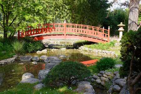 Red bridge in a japanese garden in summer , Paris.の写真素材