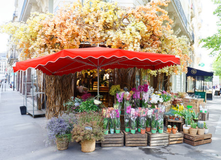 Deschamps Paris is a top wedding florist, based in France.のeditorial素材